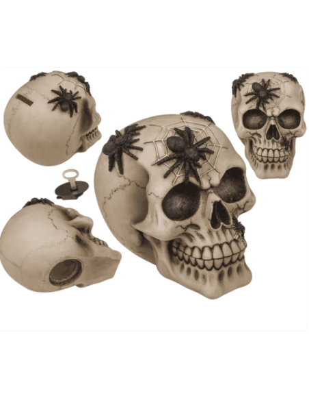 Hucha Calavera con arañas