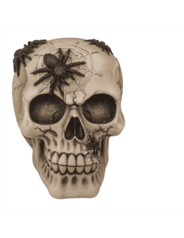 Hucha Calavera con arañas