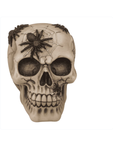 Hucha Calavera con arañas