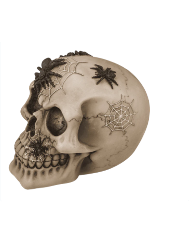 Hucha Calavera con arañas