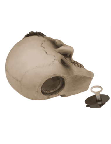 Hucha Calavera con arañas