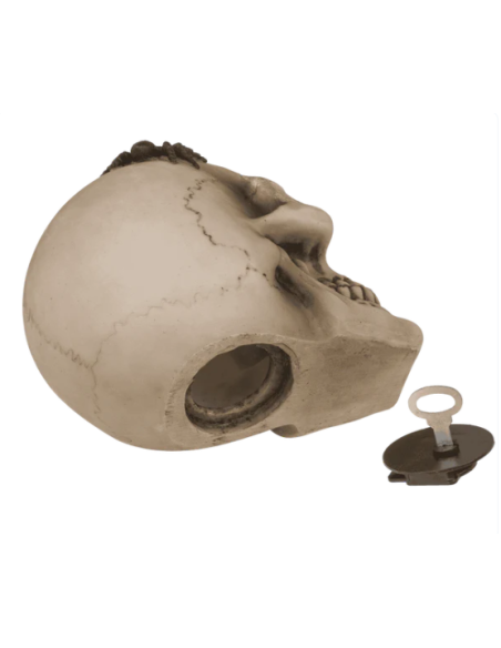 Hucha Calavera con arañas