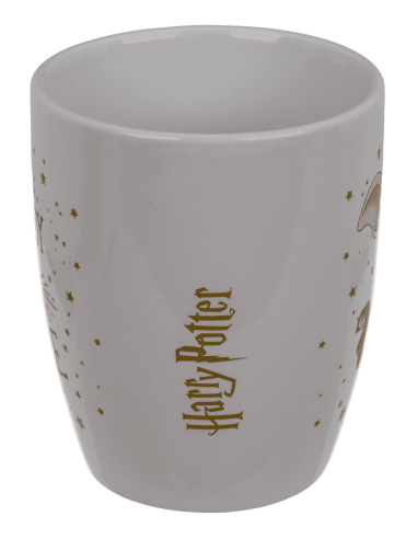 Set de taza y calcetines Harry Potter