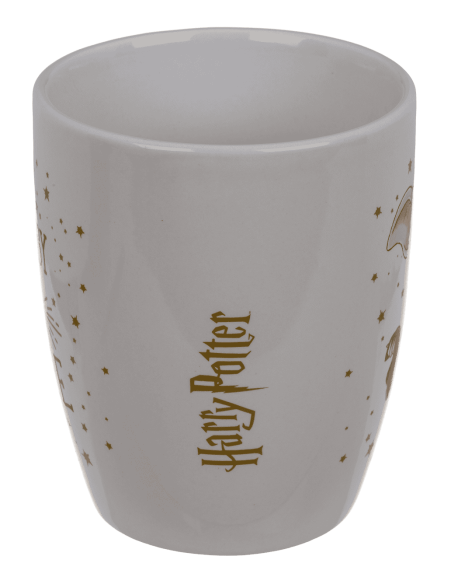 Set de taza y calcetines Harry Potter